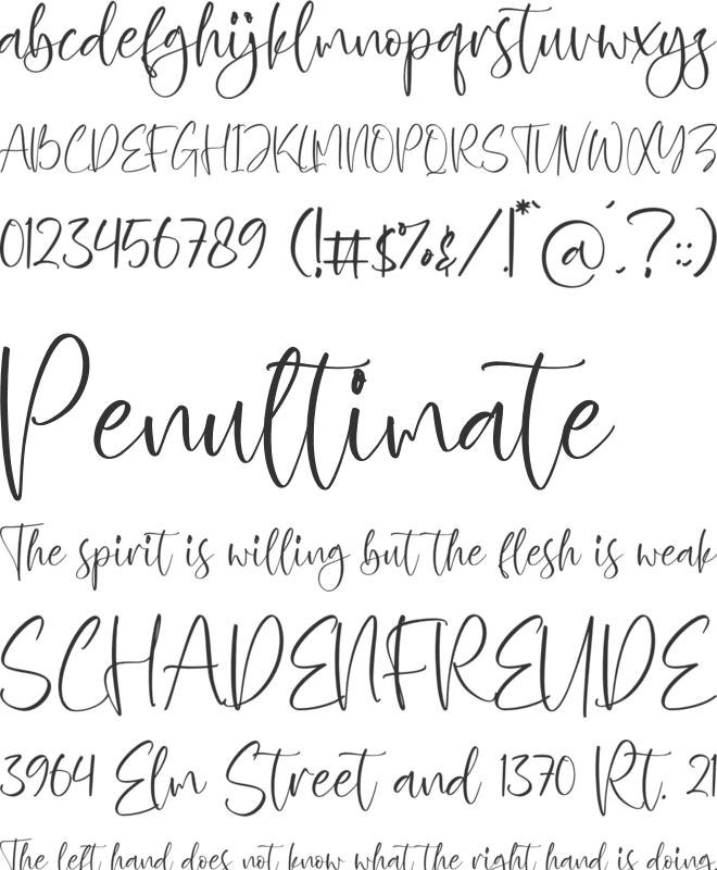 Zofia Larsonty font preview