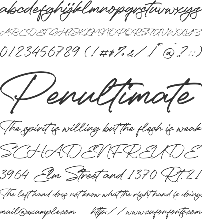 Patrick Tonight font preview