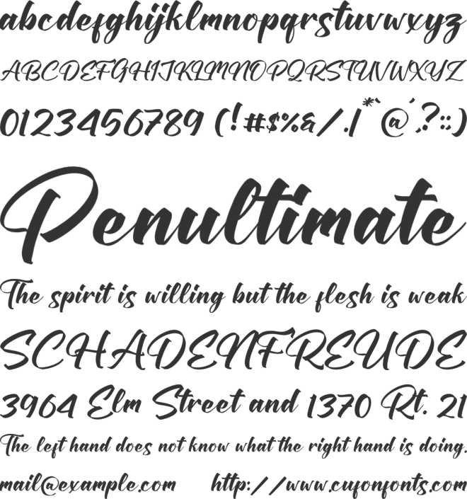 Patrick Kedilay font preview