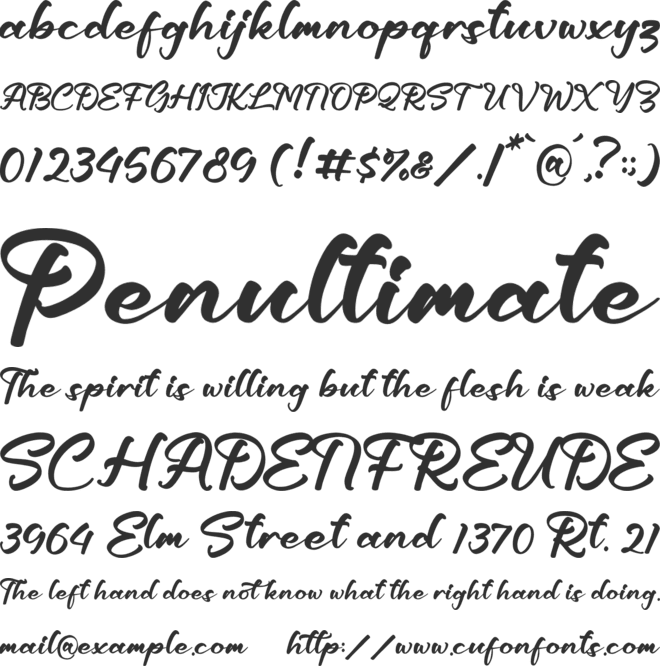 Ashleigh Patty font preview