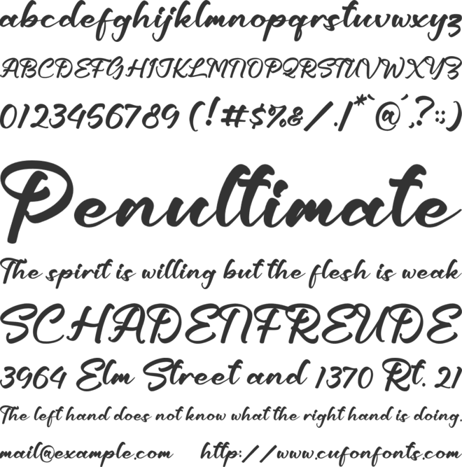 Ashleigh Patty font preview