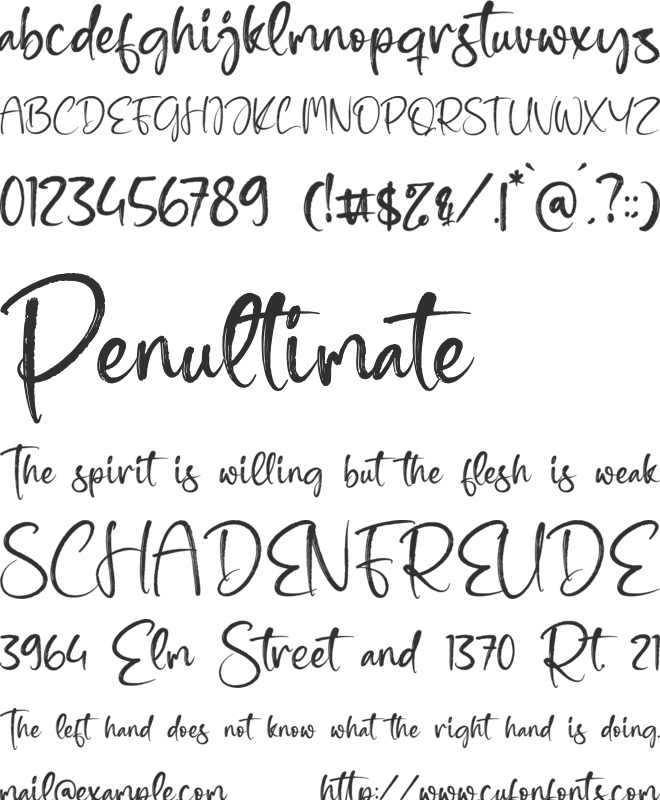 Harvest Amstera font preview