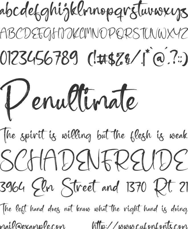 Harvest Amstera font preview