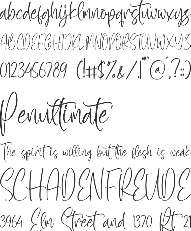 Santiago Queeny font preview