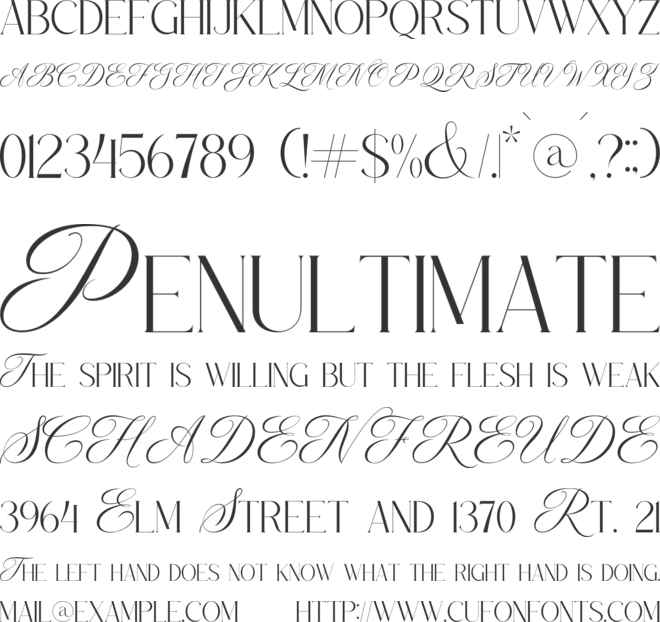 MERQOLA NATURE font preview