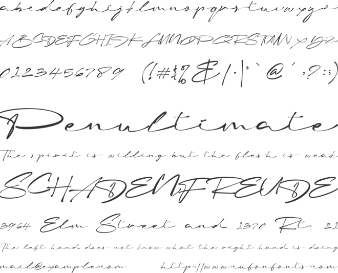 Briana Brush Pen font preview