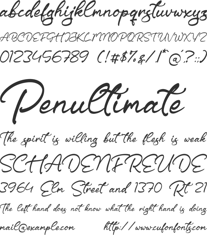 Driscutty Signature font preview