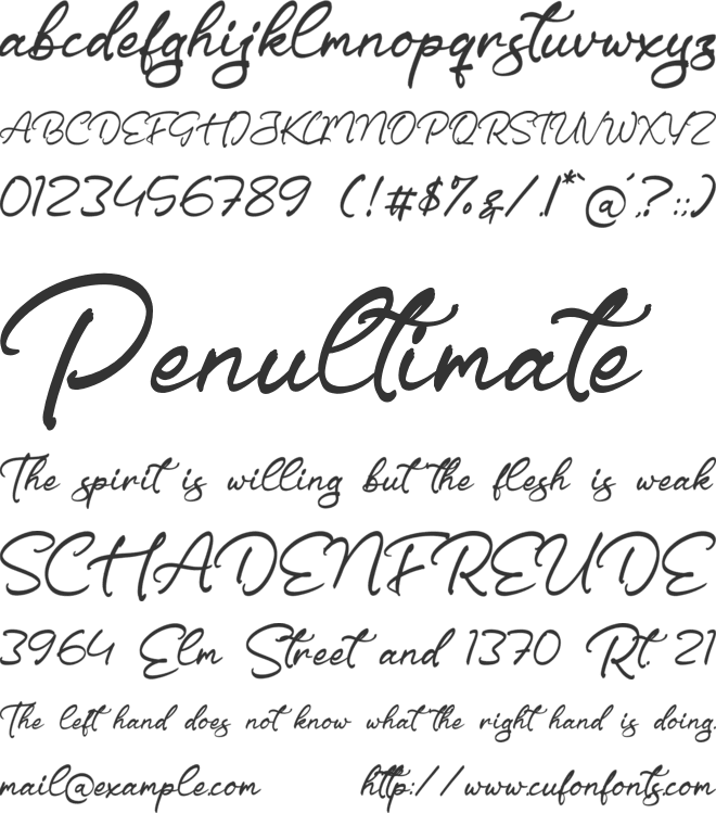Driscutty Signature font preview