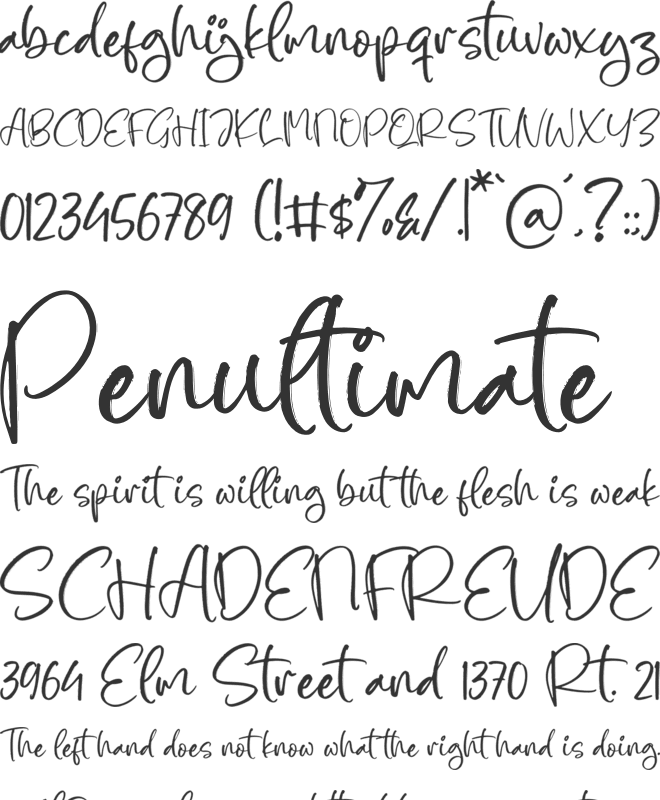 Starlight font preview