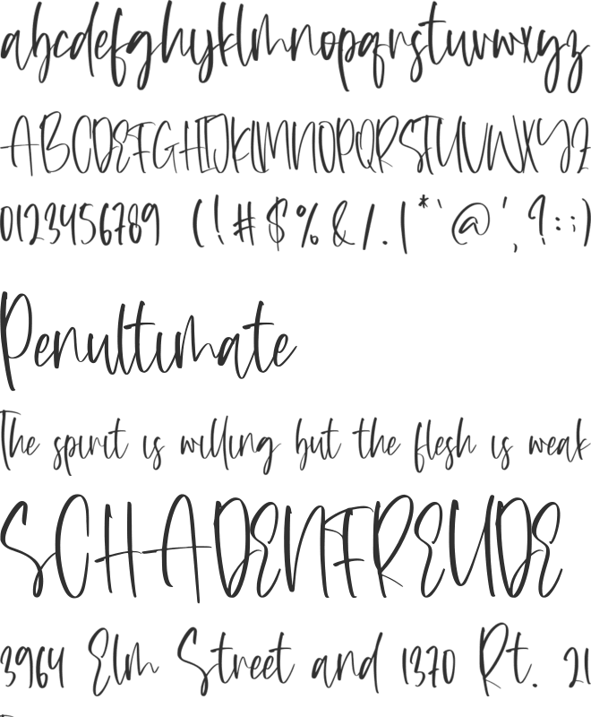 Coffeepots font preview