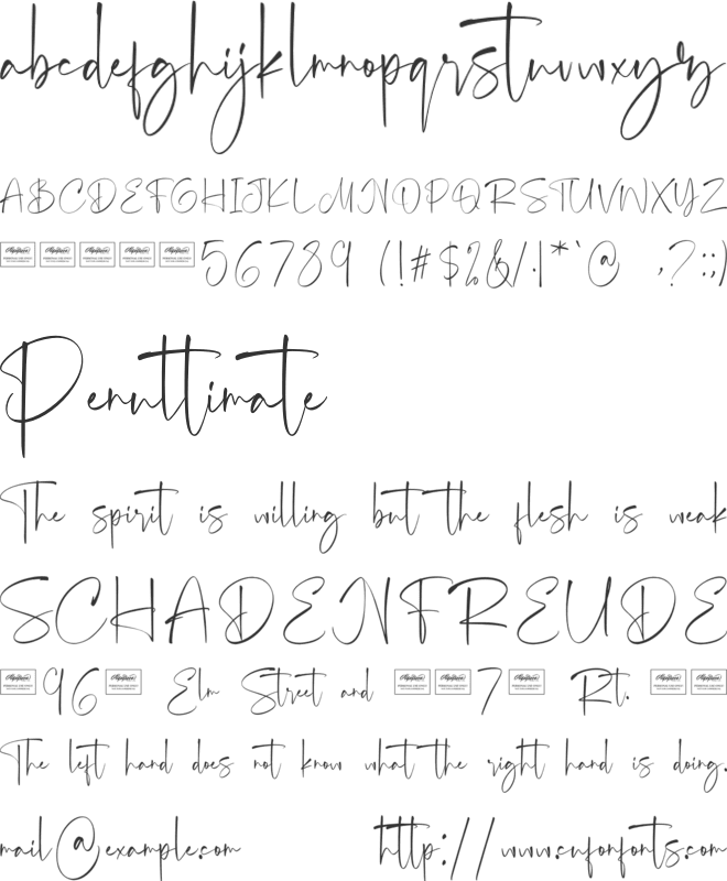 Carolina font preview