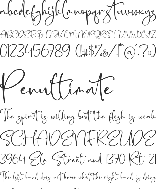 Belloty Signatone font preview