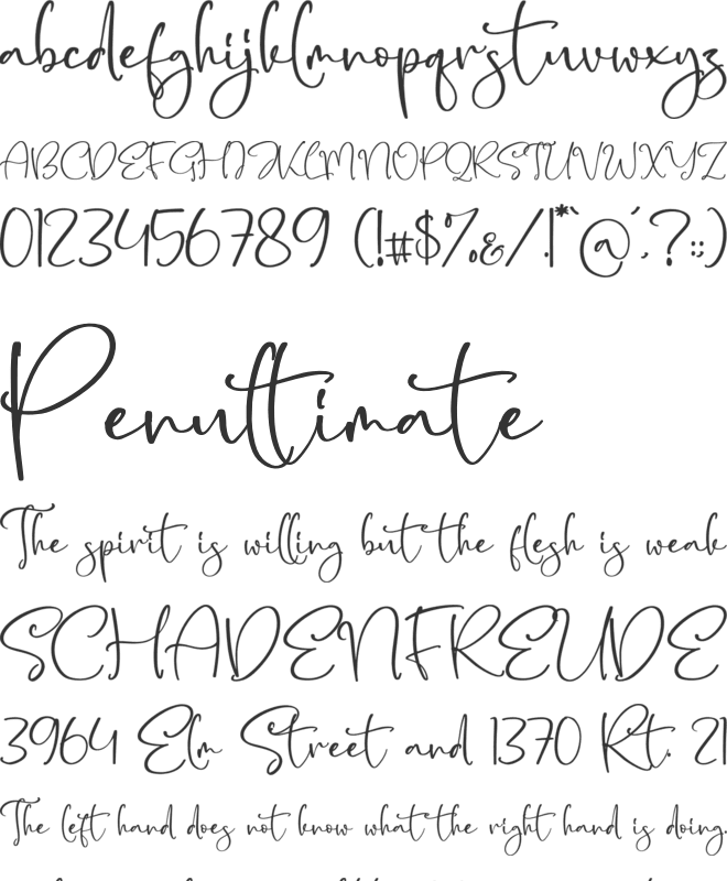Belloty Signatone font preview