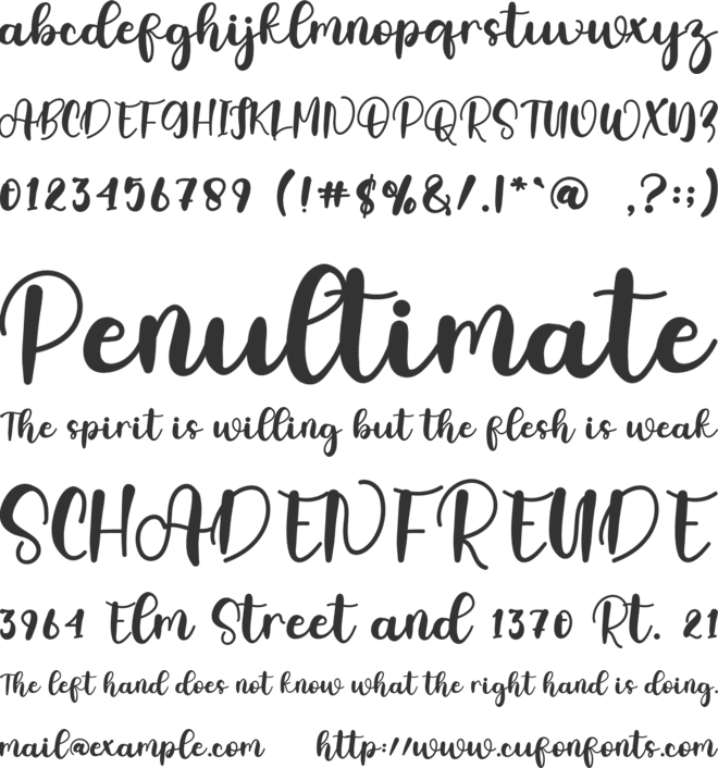 Will Love font preview