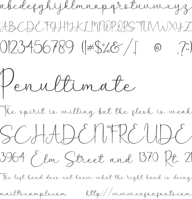 Lettersign font preview