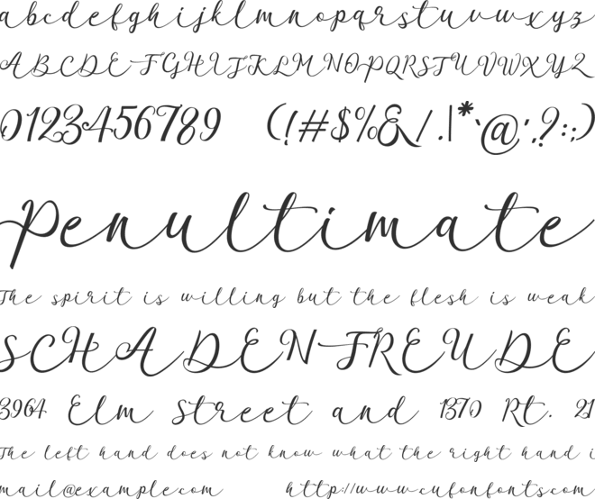 Garnita Script font preview