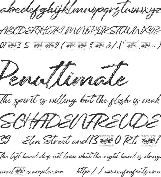 Reinkies font preview