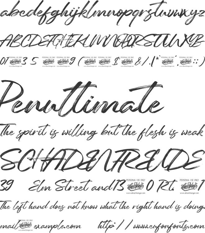 Reinkies font preview
