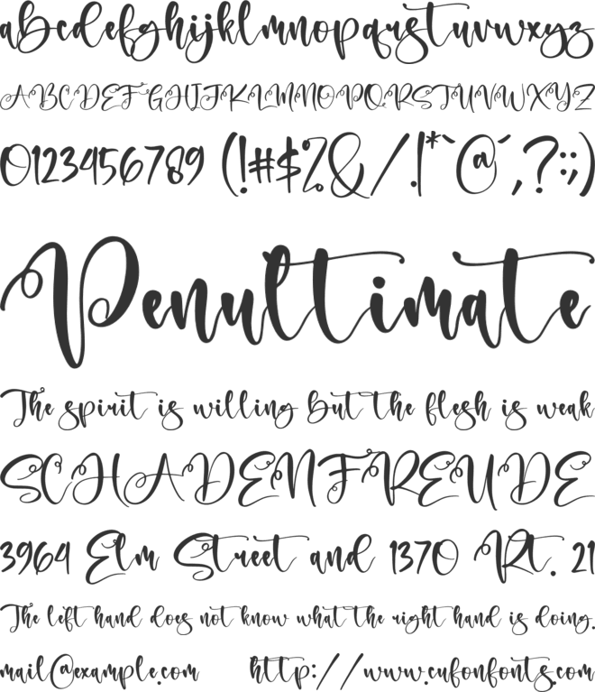 Andita font preview