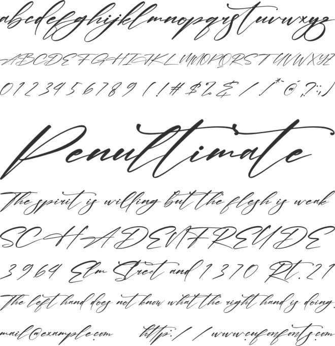 Verlitha Script font preview