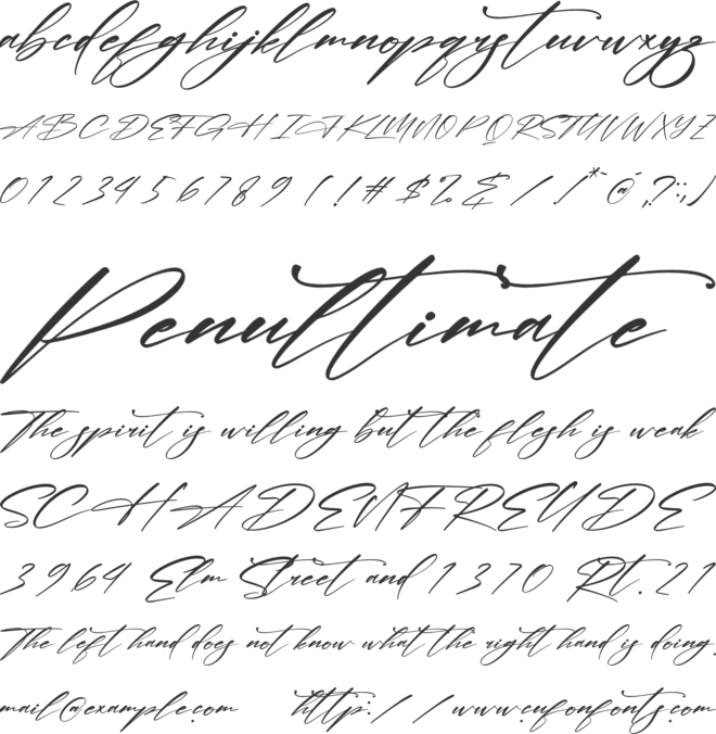 Verlitha Script font preview
