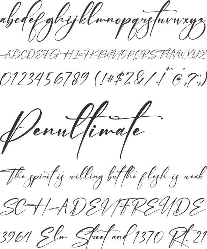 Randela Smitha font preview