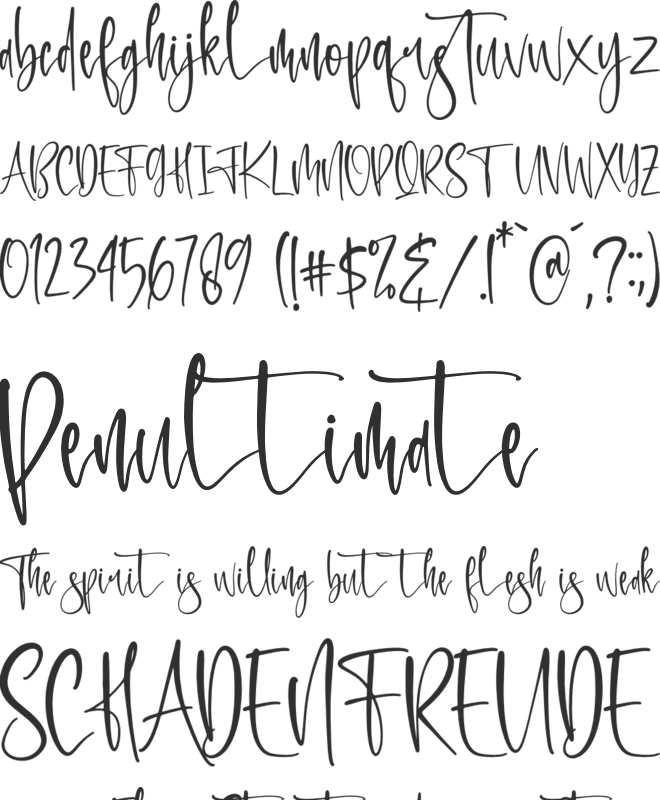 Montain Fight font preview
