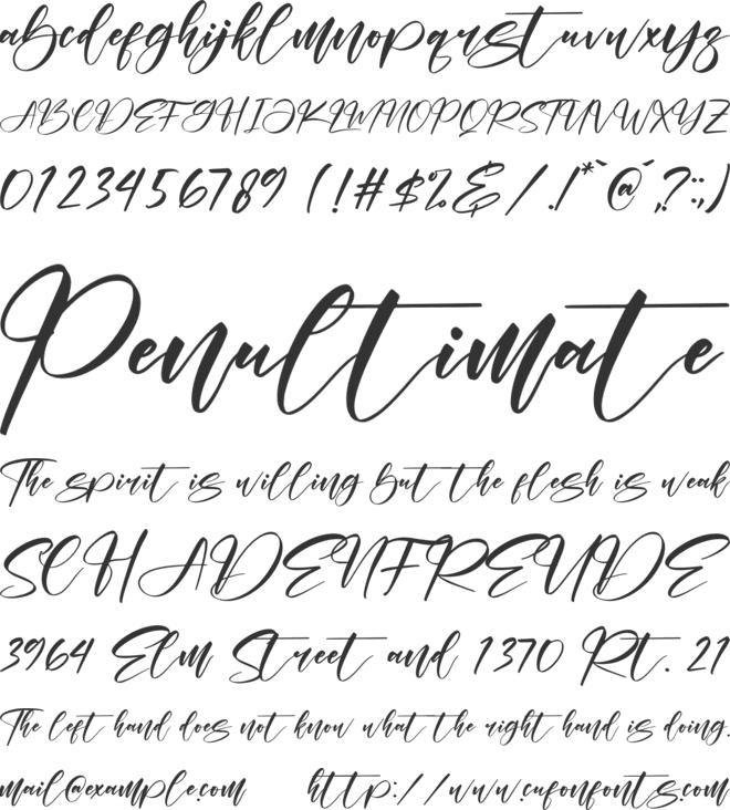 Belistic Kaldera font preview