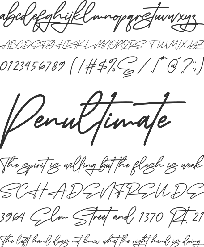 Futuristica Signatera font preview