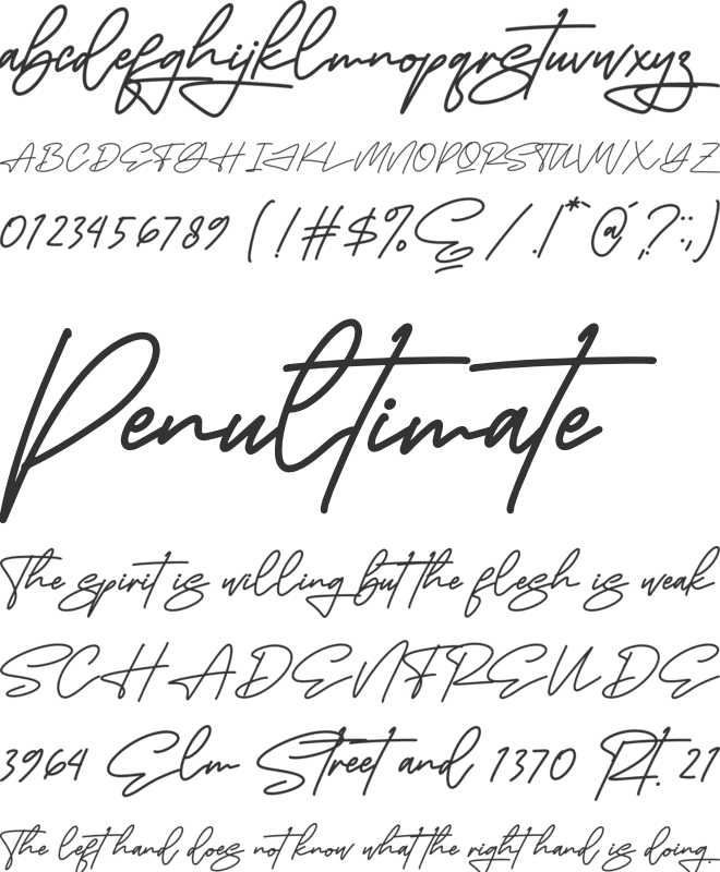 Futuristica Signatera font preview