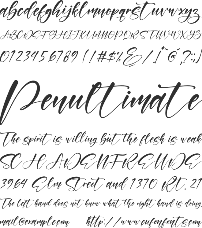Wilonata Pevita font preview
