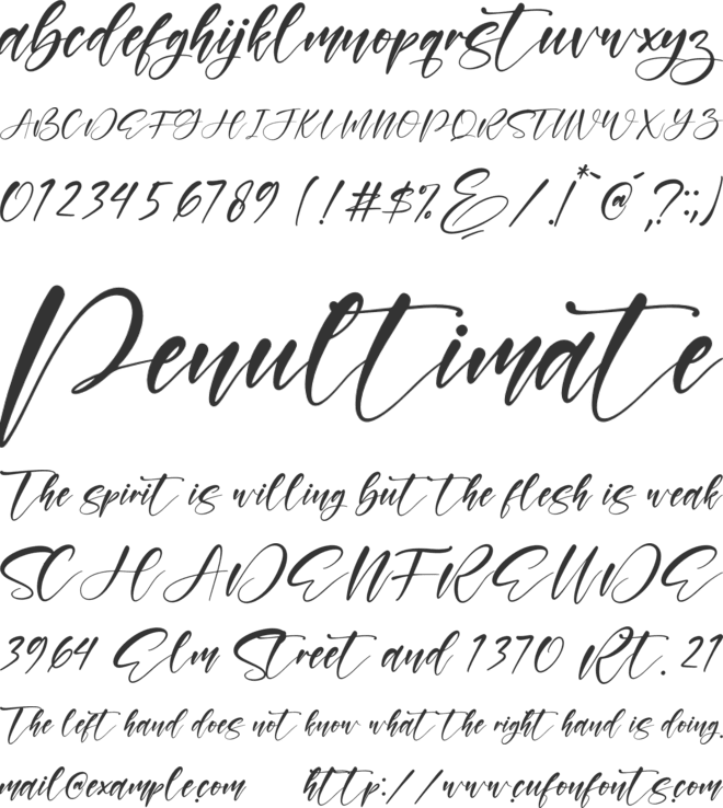 Wilonata Pevita font preview
