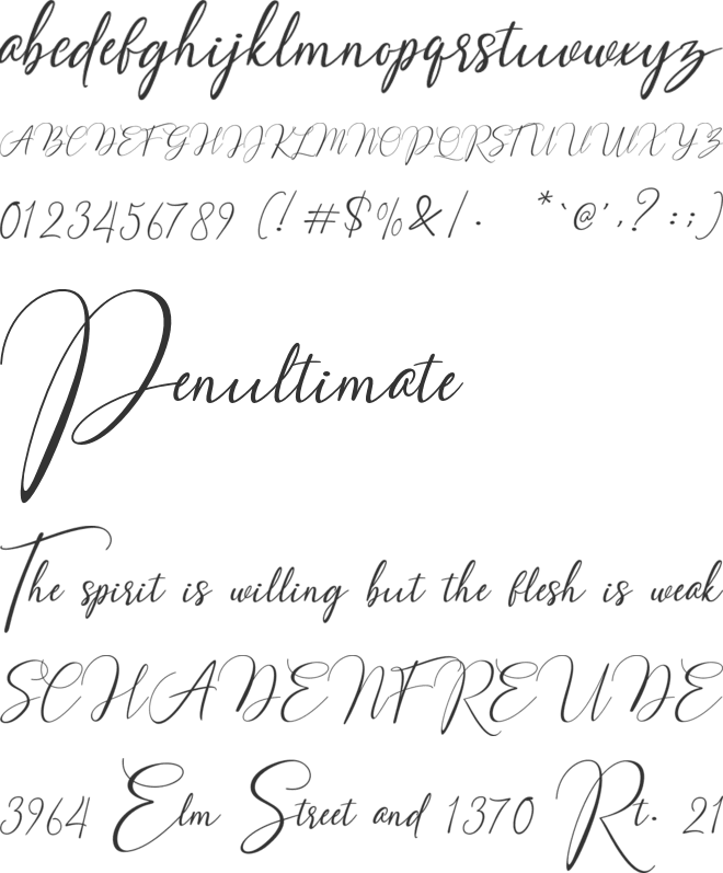 Amster Style font preview