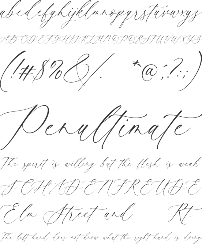 Vintage Loving font preview