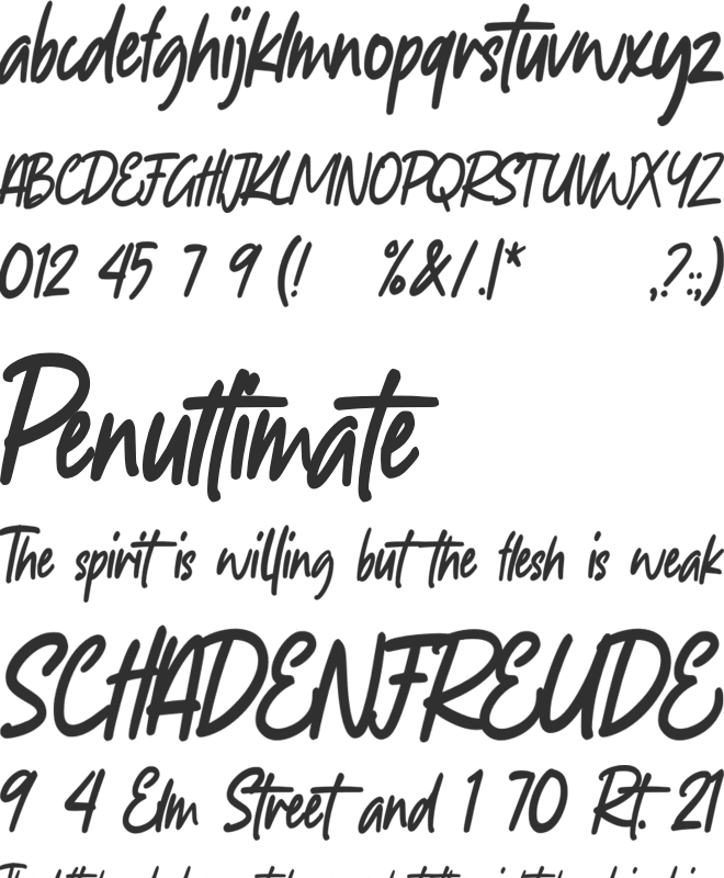 Timeless Notes font preview