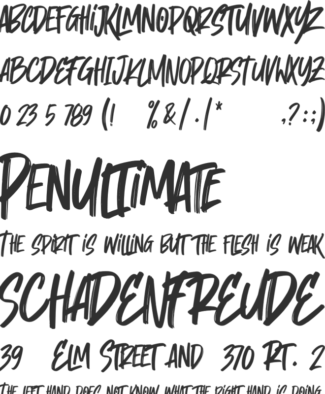 Tenuity font preview