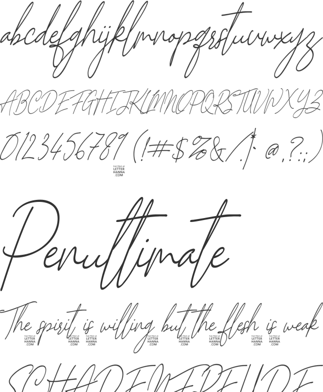 Scarlett Mackenzie font preview