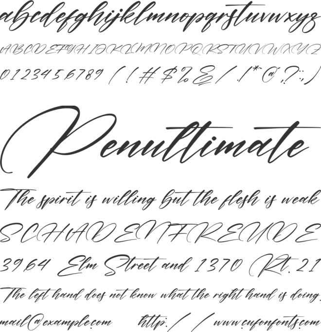 Pattricia font preview