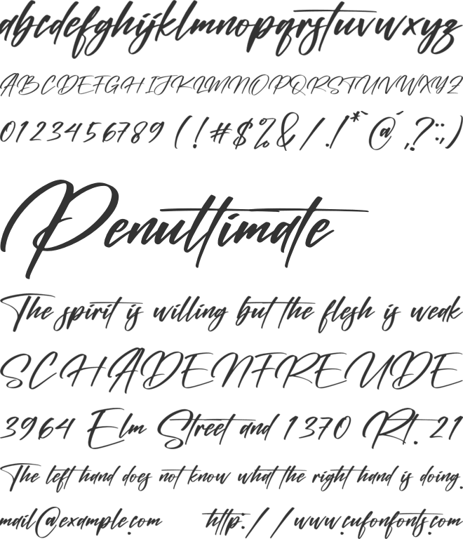 Cantika Foster font preview