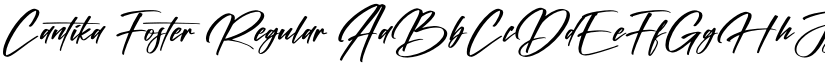 Cantika Foster Regular font