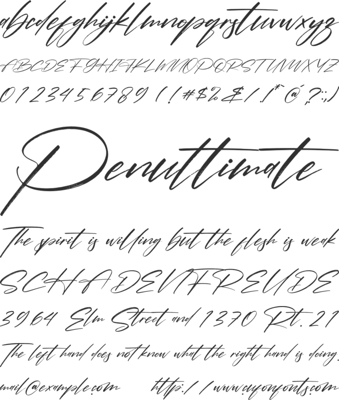 Pantherdam Signature font preview