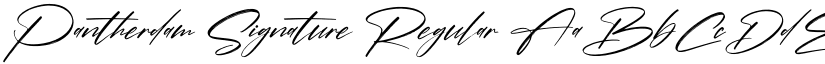 Pantherdam Signature Regular font