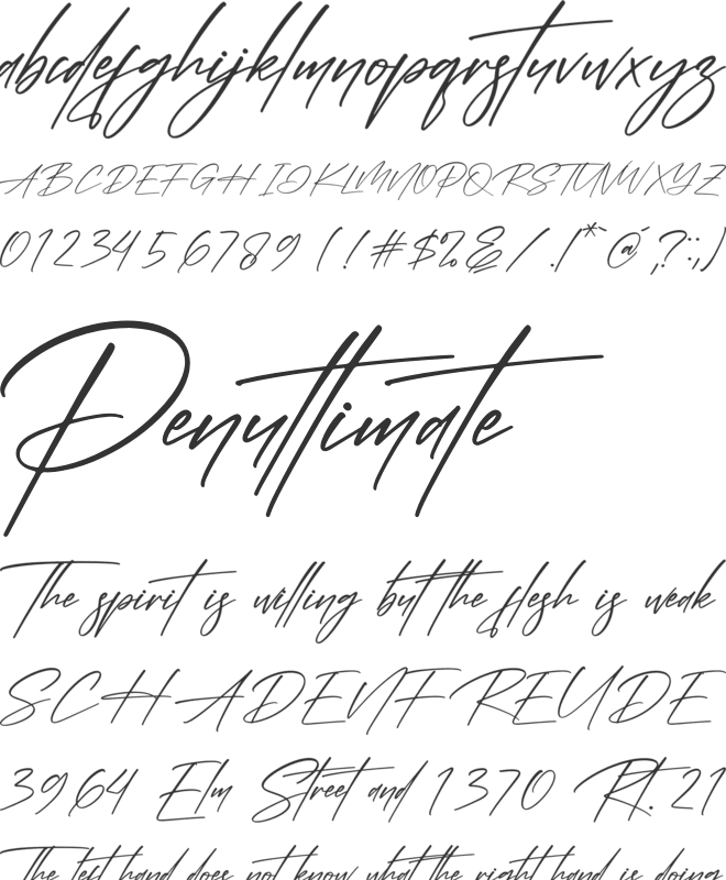 Agatha Paterson font preview