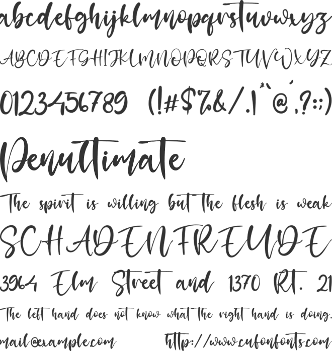 Palmer Like font preview