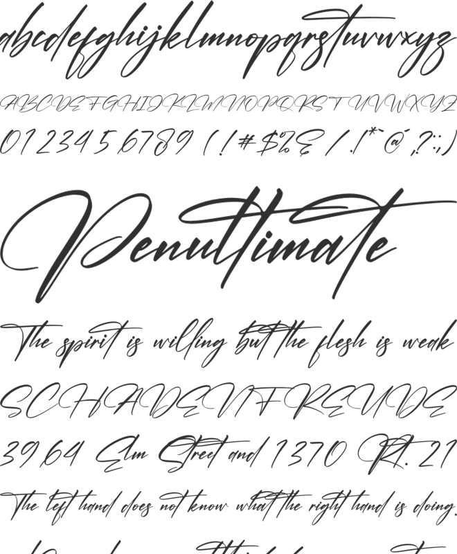 Cantika Beauty font preview