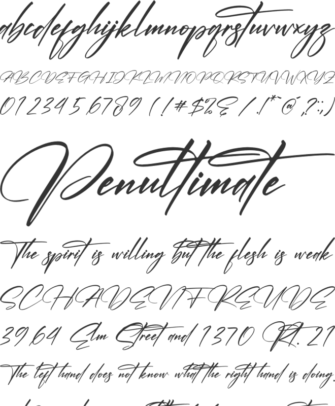 Cantika Beauty font preview