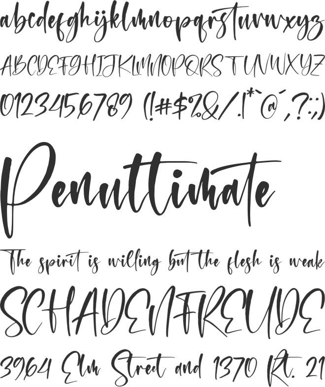 Montana Bright font preview