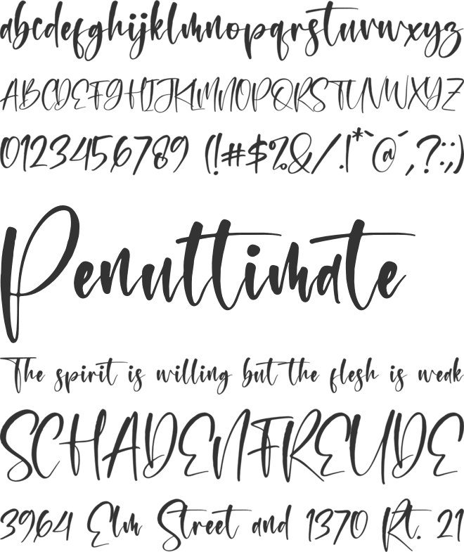 Montana Bright font preview