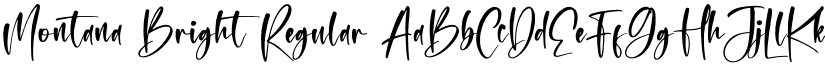 Montana Bright font download