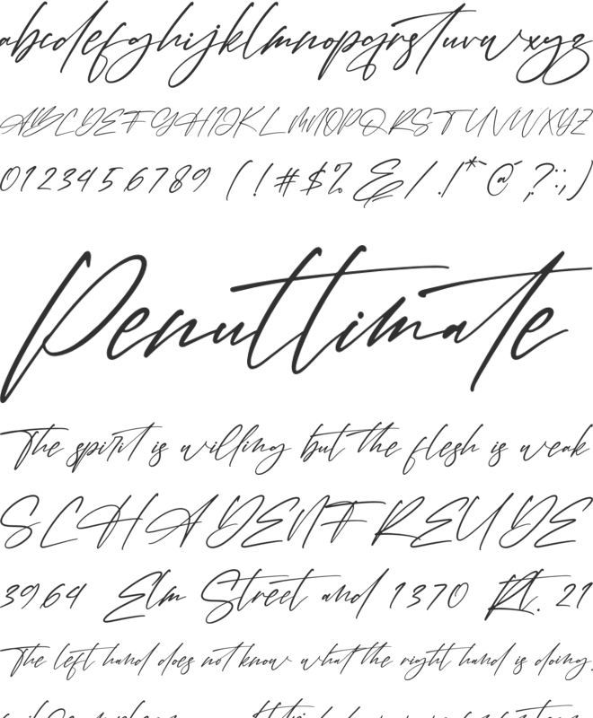 Hondelante Signature font preview